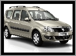 Maska, Dacia Logan, Halogeny